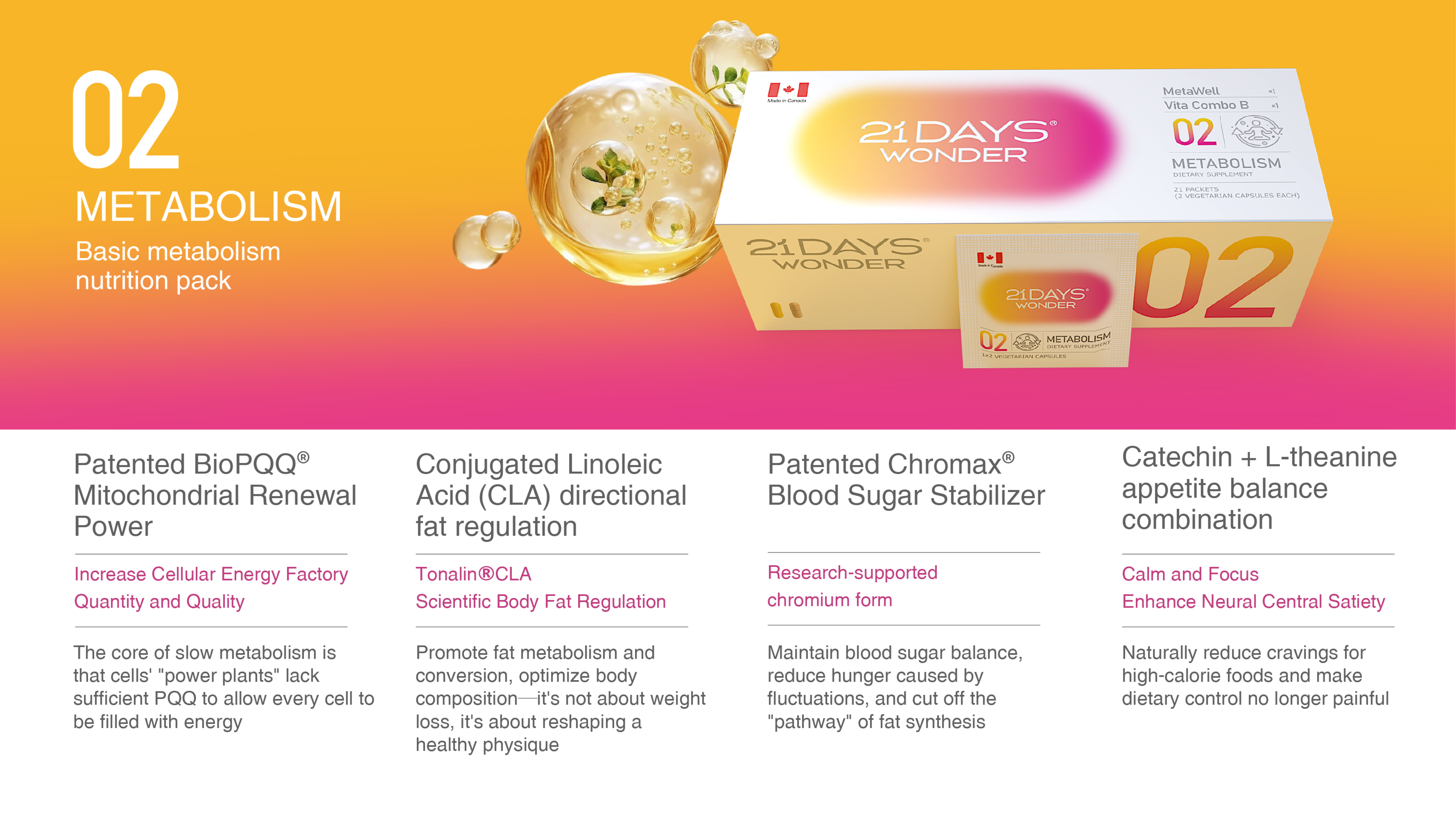 02 Daily Metabolism Nutrition Pack