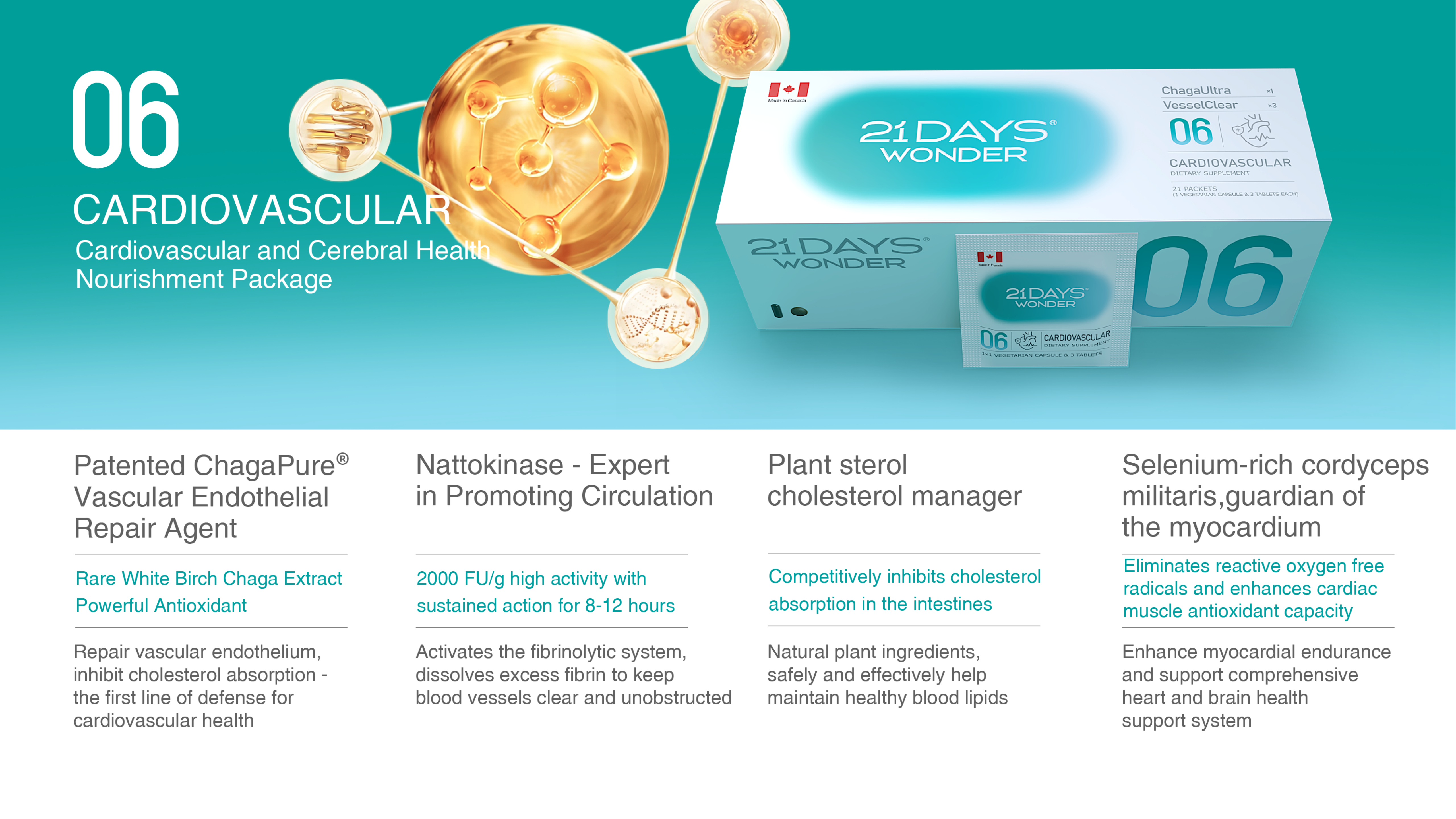 06 Circulation Balance Nutrition Pack